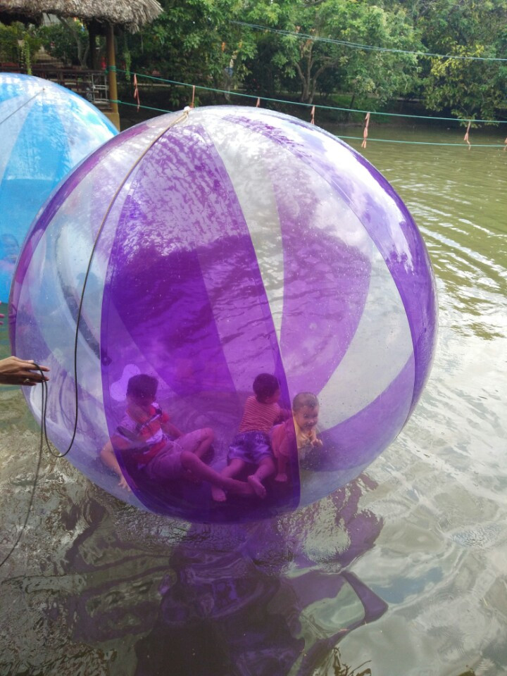 Công đoàn Trường THPT Trần Văn Ơn tổ chức họp mặt ngày Quốc tế thiếu nhi 01 tháng 6 năm 2017